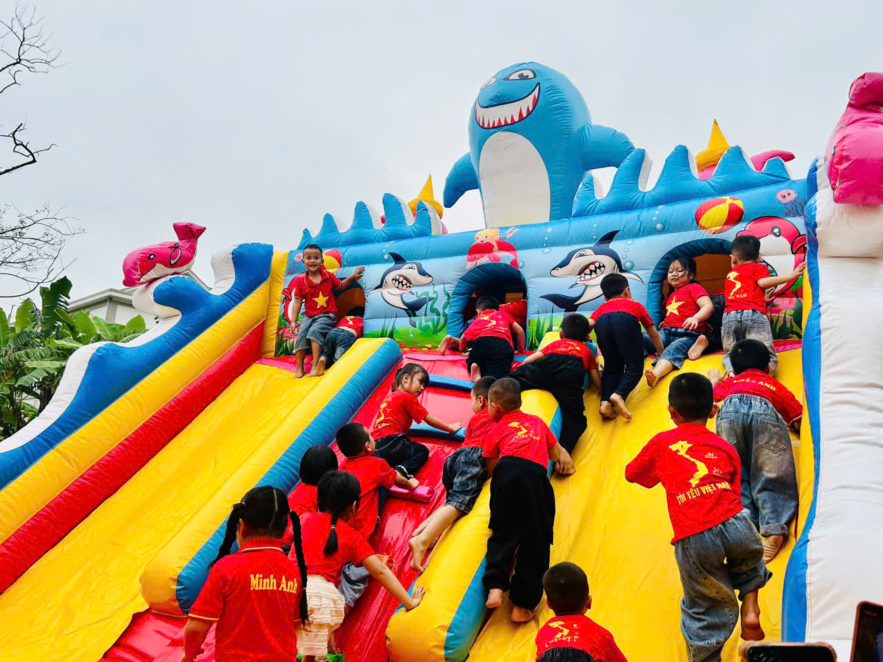 z7655317694020 5a218667a80a98092c0997c997f44880